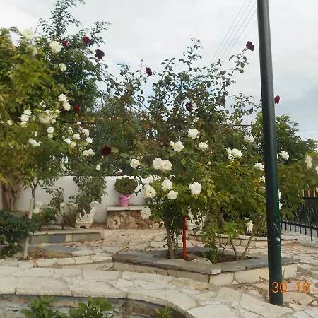 Melios Petalidi